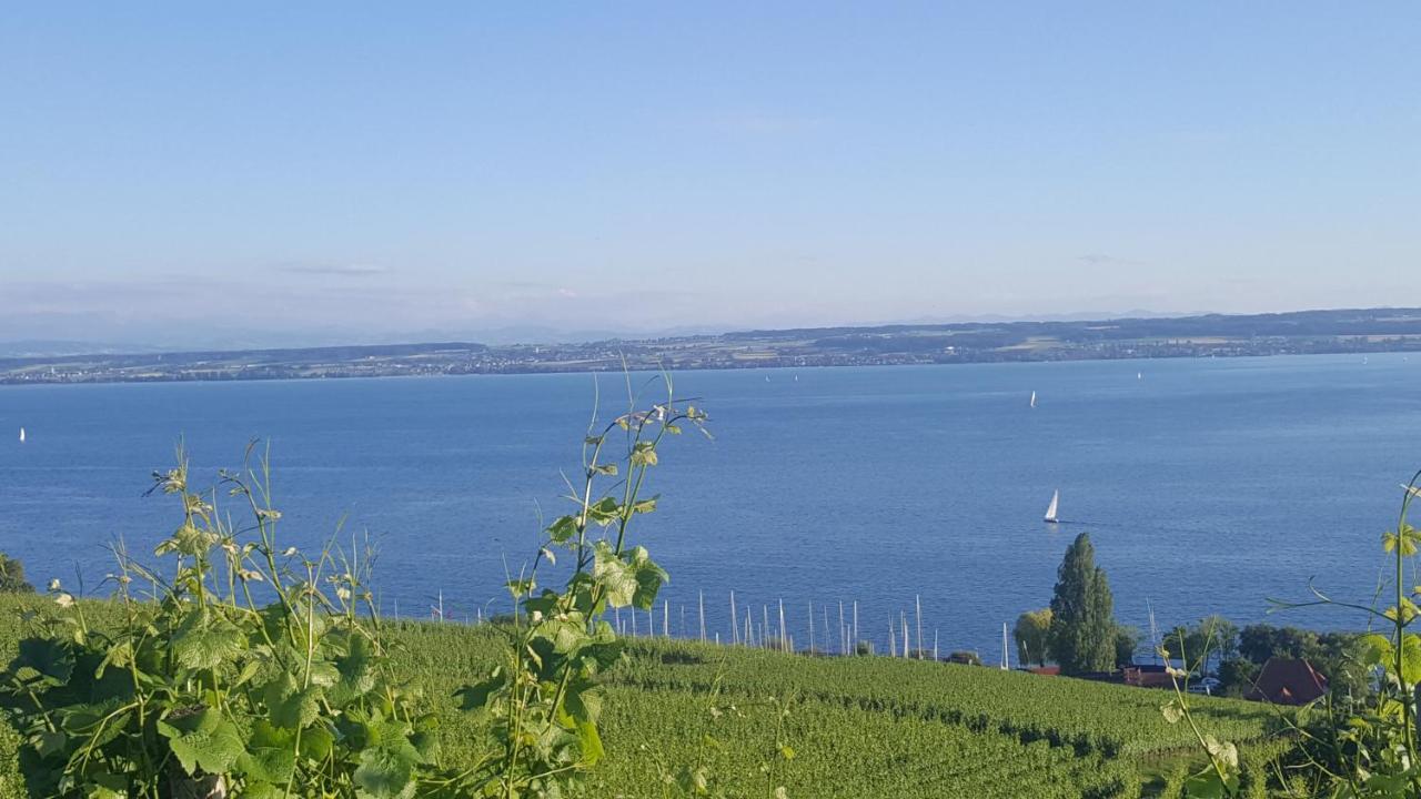 Apartment Mainau Daisendorf Екстер'єр фото